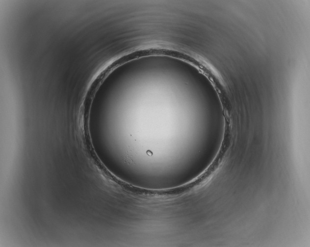 X0000111360877200907101228