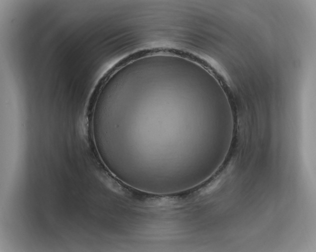 X0000111360879200907101228