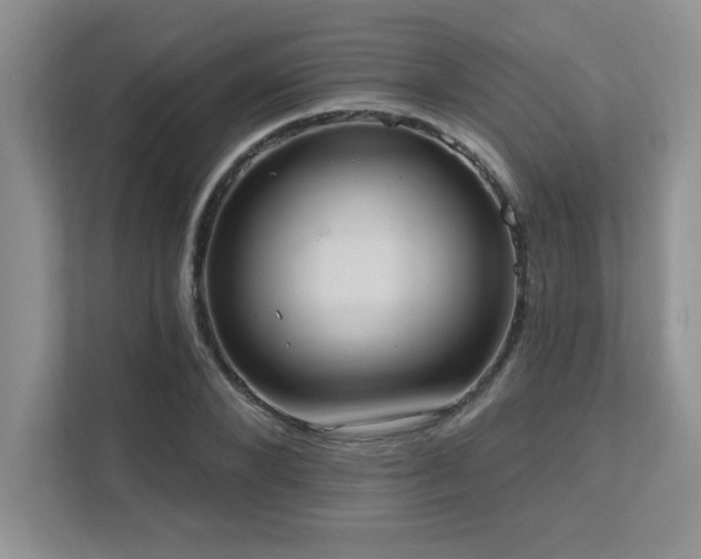 X0000111360880200907101228