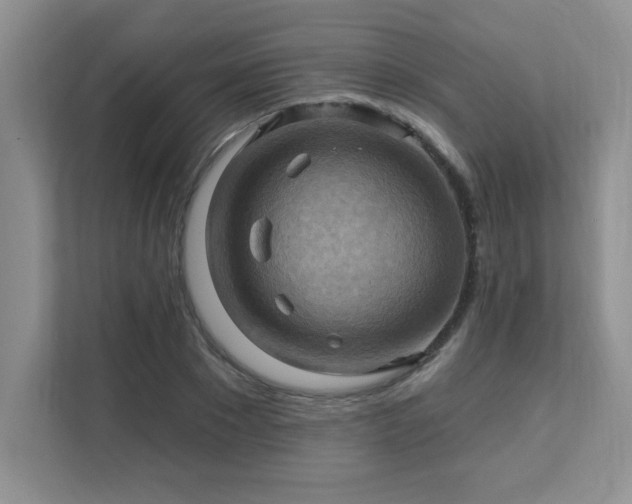 X0000111360881200907101228