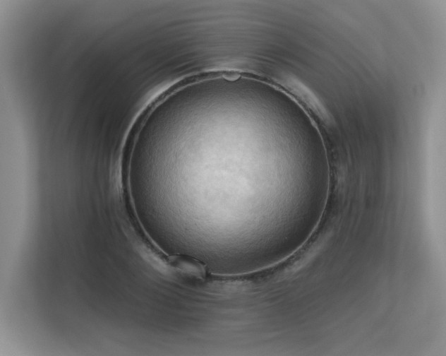 X0000111360884200907101228
