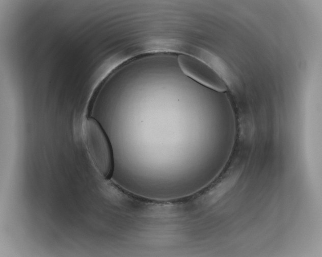 X0000111360885200907101228