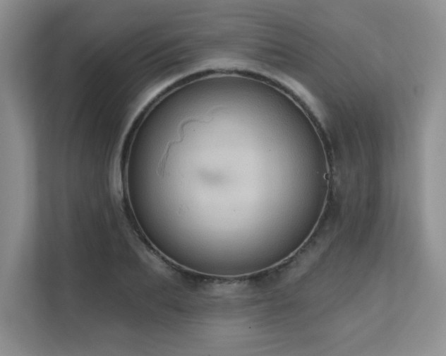 X0000111360887200907101228