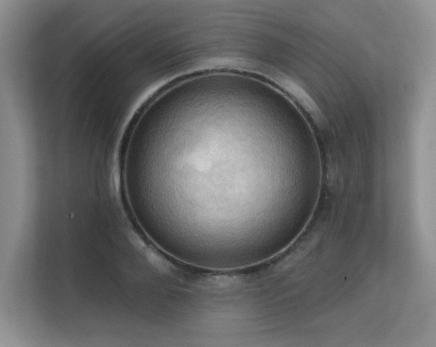 X0000111360888200907101228
