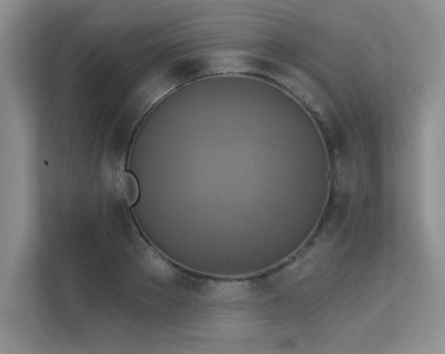 X0000111360889200907101228