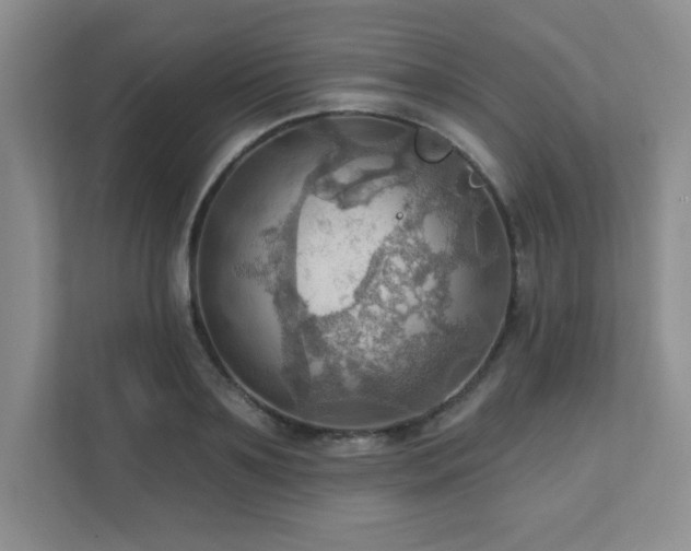 X0000111360891200907101228