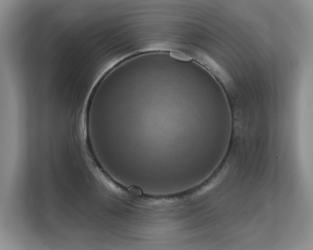 X0000111360892200907101228