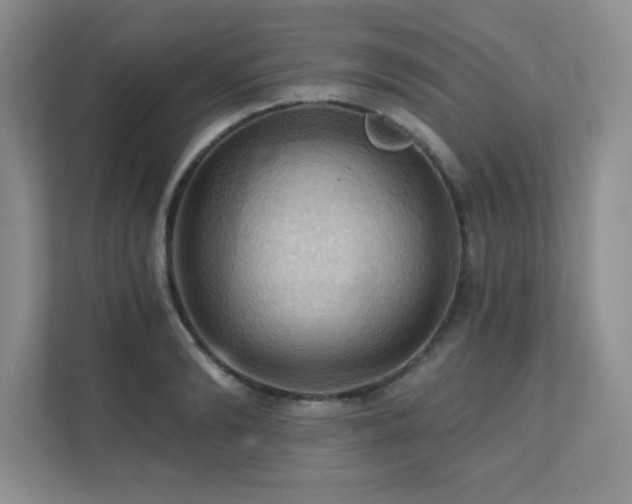X0000111360894200907101228