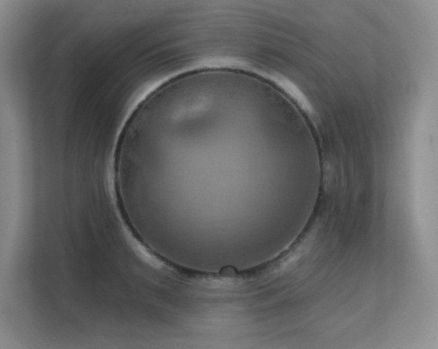 X0000111360895200907101228