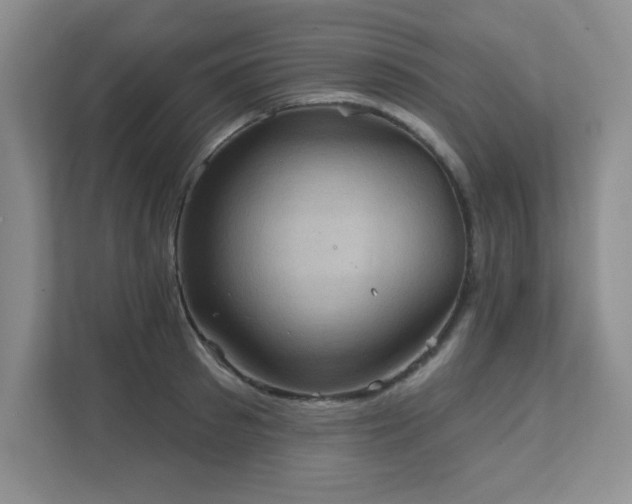 X0000111360897200907101228