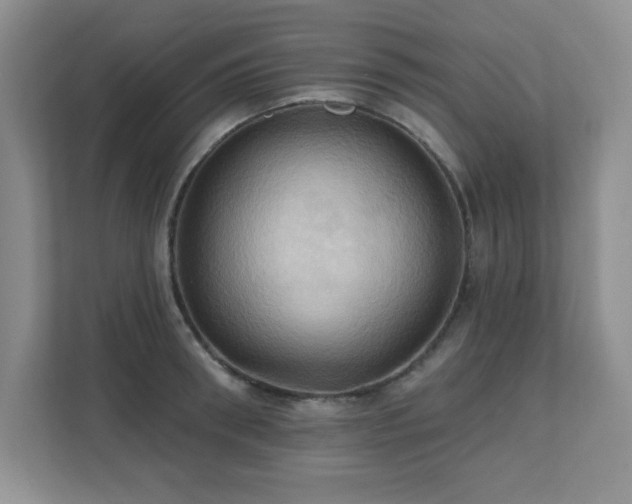 X0000111360898200907101228