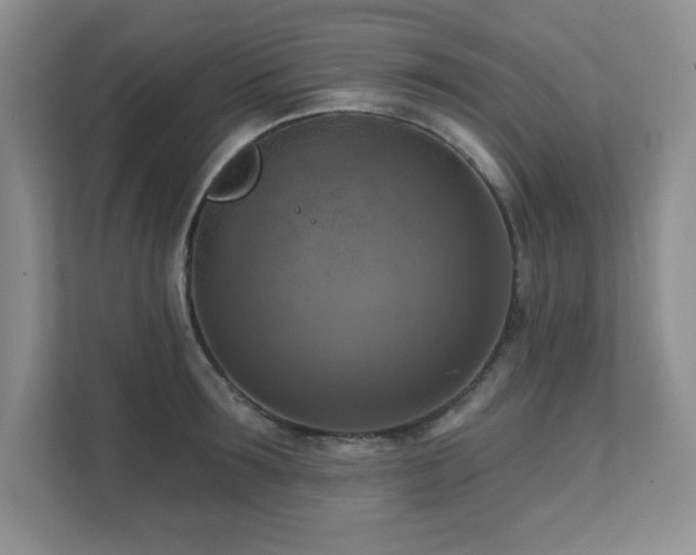 X0000111360899200907101228
