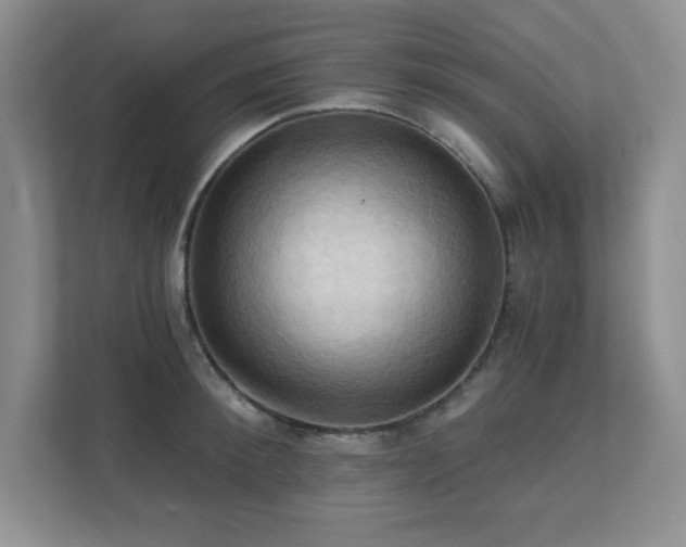X0000111360900200907101228