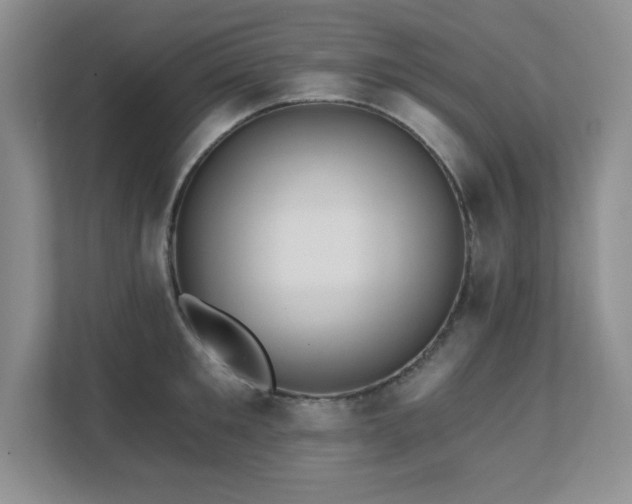 X0000111360901200907101228