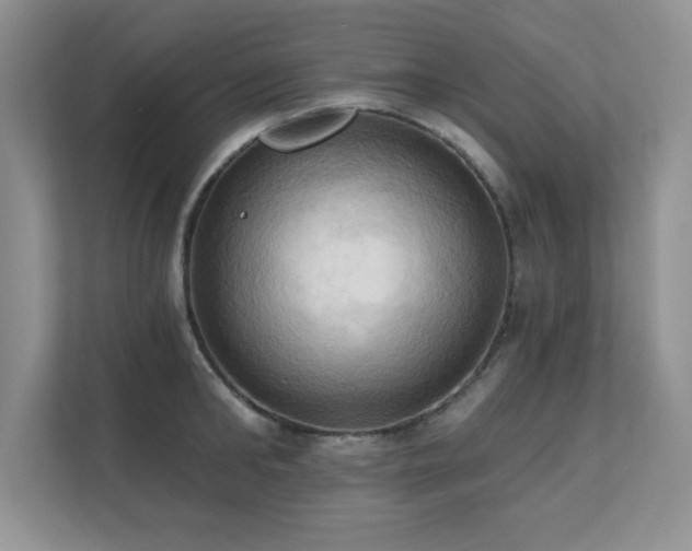 X0000111360902200907101228