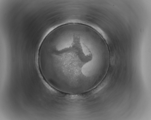 X0000111360903200907101228