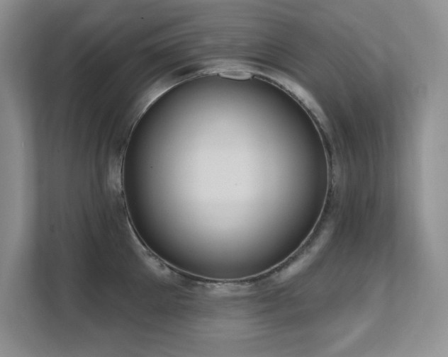X0000111360905200907101228