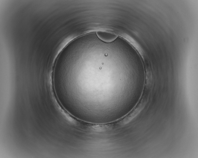 X0000111360906200907101228