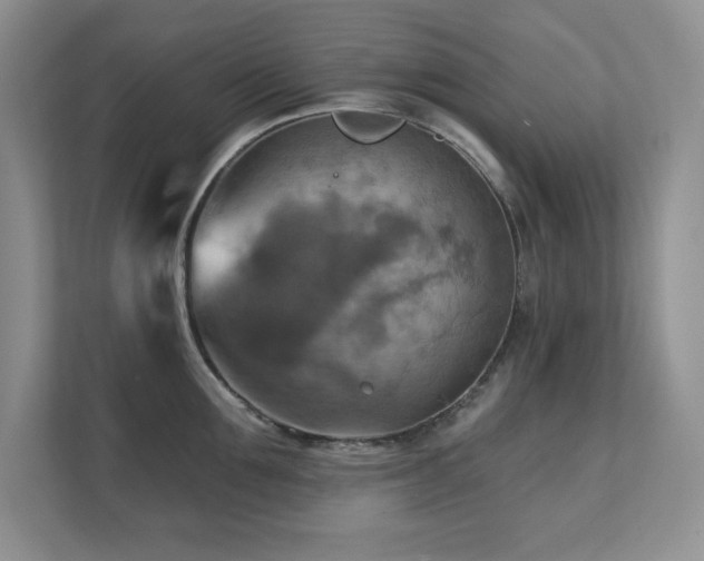 X0000111360907200907101228