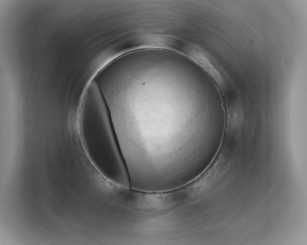 X0000111360908200907101228