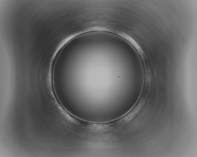 X0000111360910200907101228
