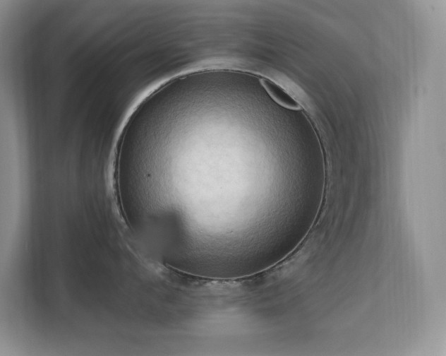 X0000111360912200907101228