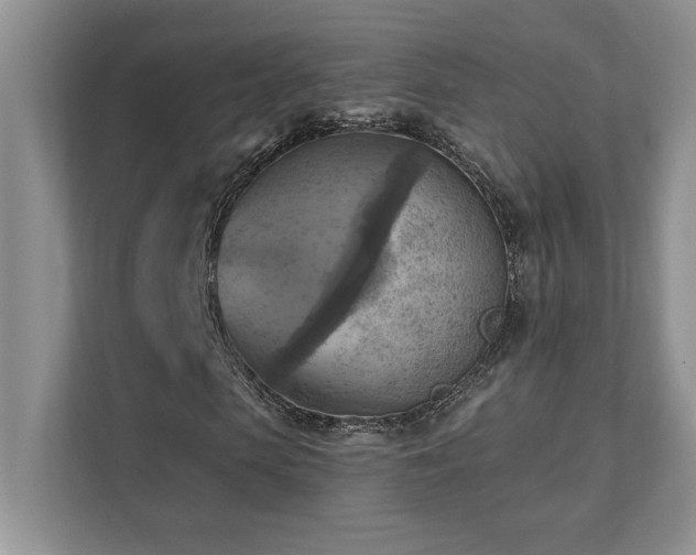 X0000111360913200907101227