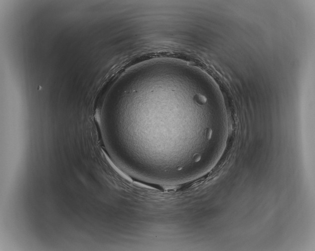 X0000111360916200907101227