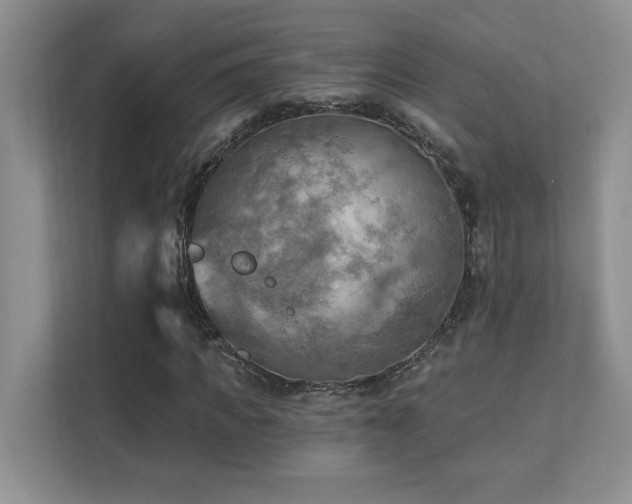 X0000111360917200907101227