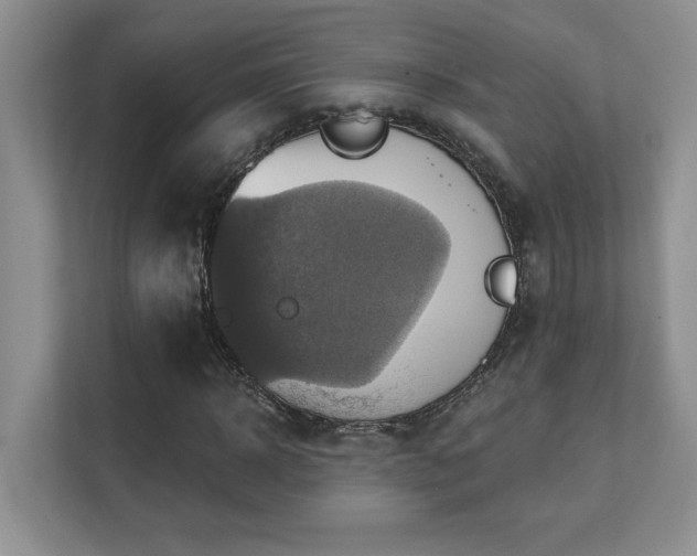 X0000111360918200907101227