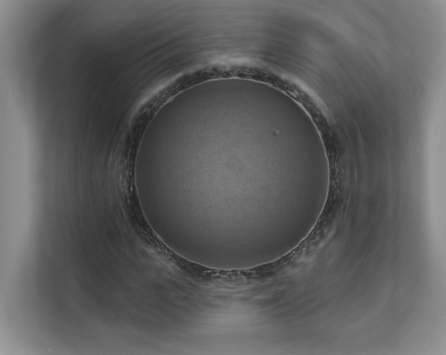 X0000111360919200907101227