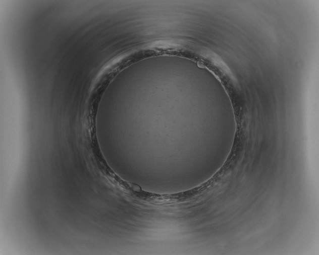 X0000111360920200907101227