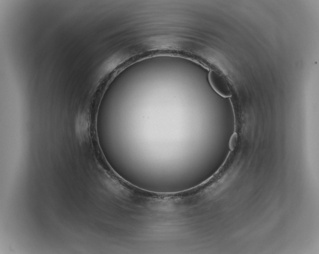 X0000111360922200907101227