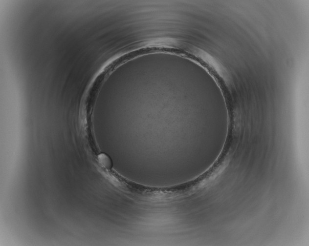 X0000111360923200907101227