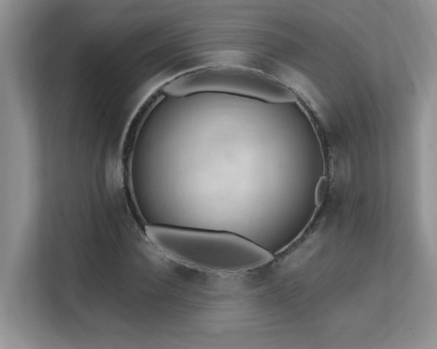 X0000111360924200907101227