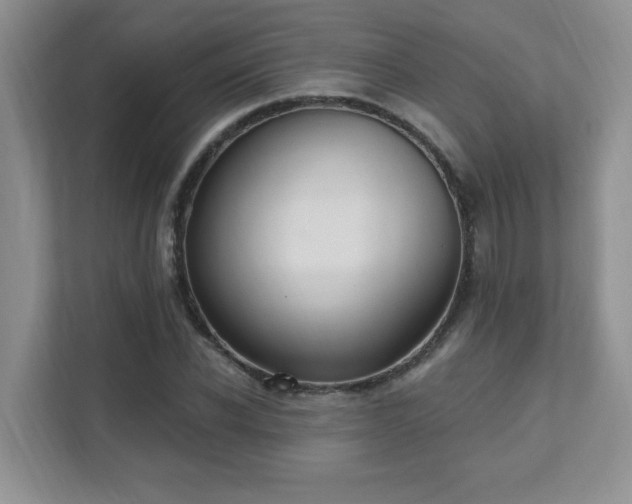 X0000111360926200907101227
