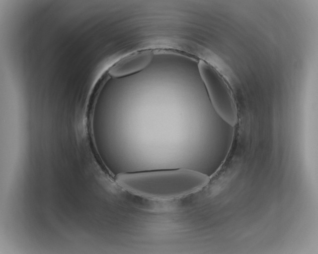 X0000111360928200907101227