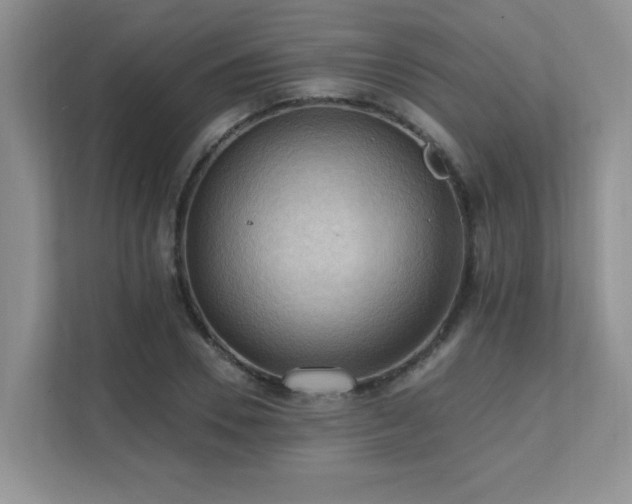 X0000111360930200907101227