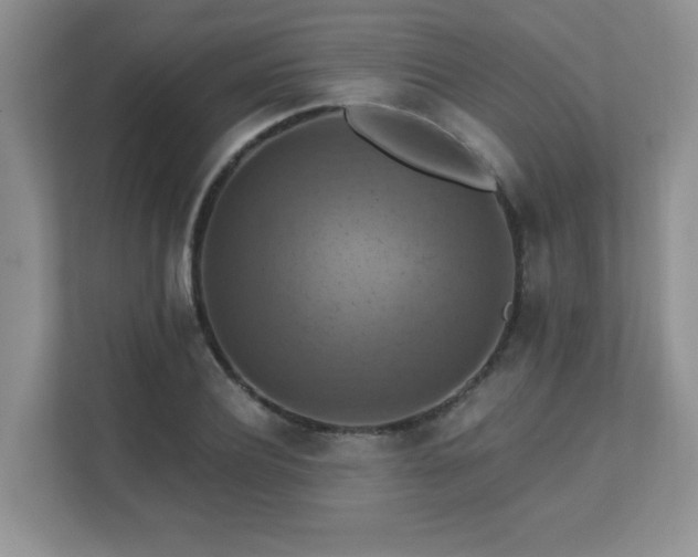 X0000111360932200907101227