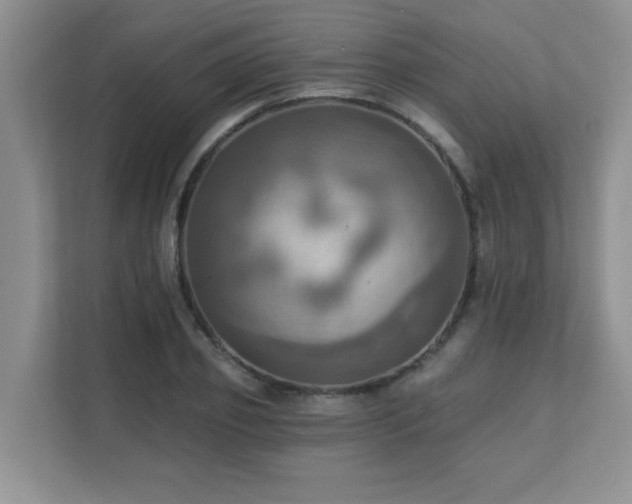 X0000111360933200907101227