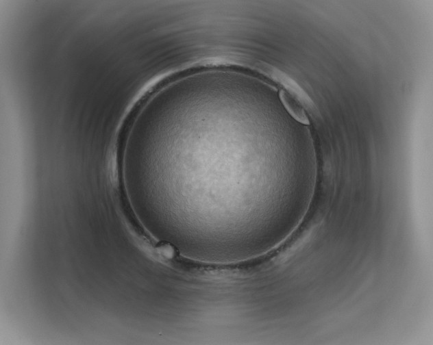 X0000111360934200907101227