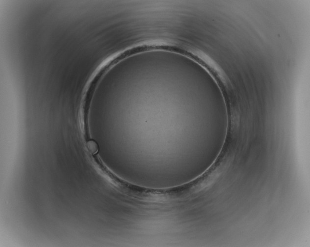 X0000111360935200907101227