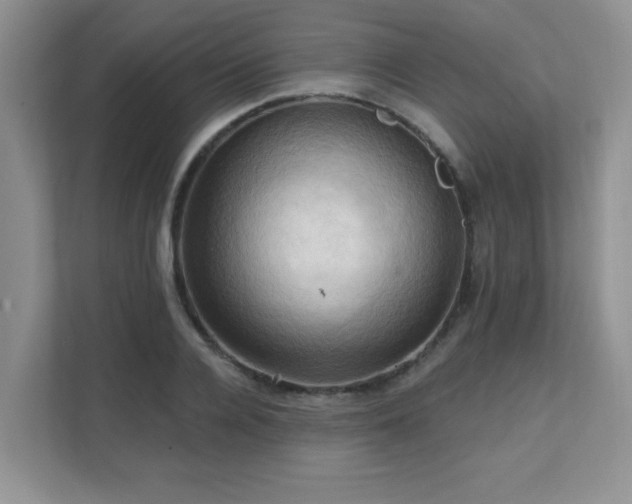 X0000111360936200907101227