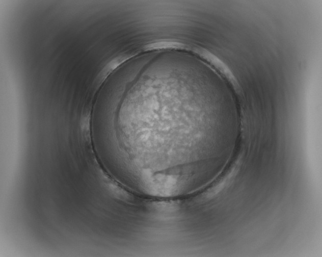X0000111360937200907101227