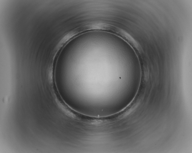 X0000111360938200907101227