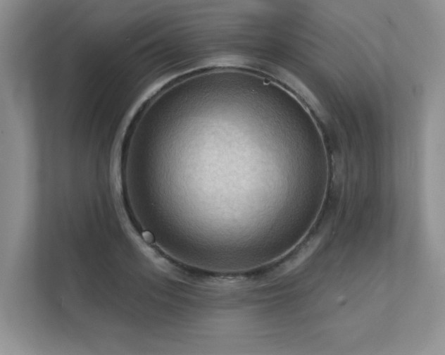 X0000111360939200907101227