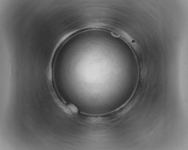 X0000111360940200907101227