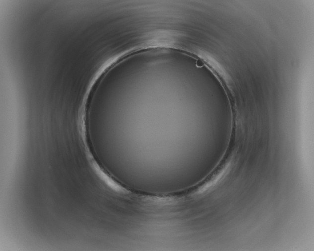X0000111360941200907101227