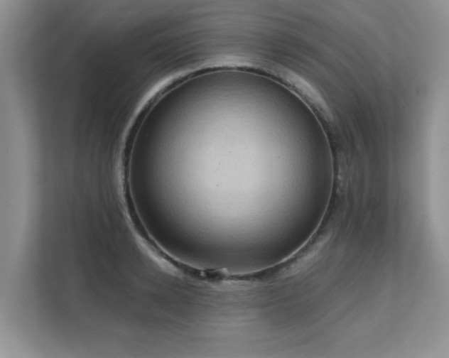 X0000111360942200907101228