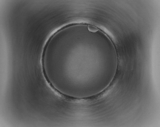 X0000111360943200907101228